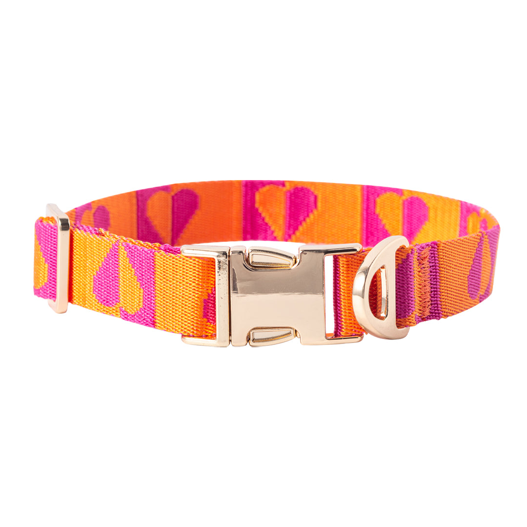 Leela Quantum H.E.A.L.® Jacquard Collar for Dogs