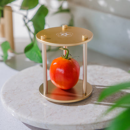 Travel & Car Quantum Bloc