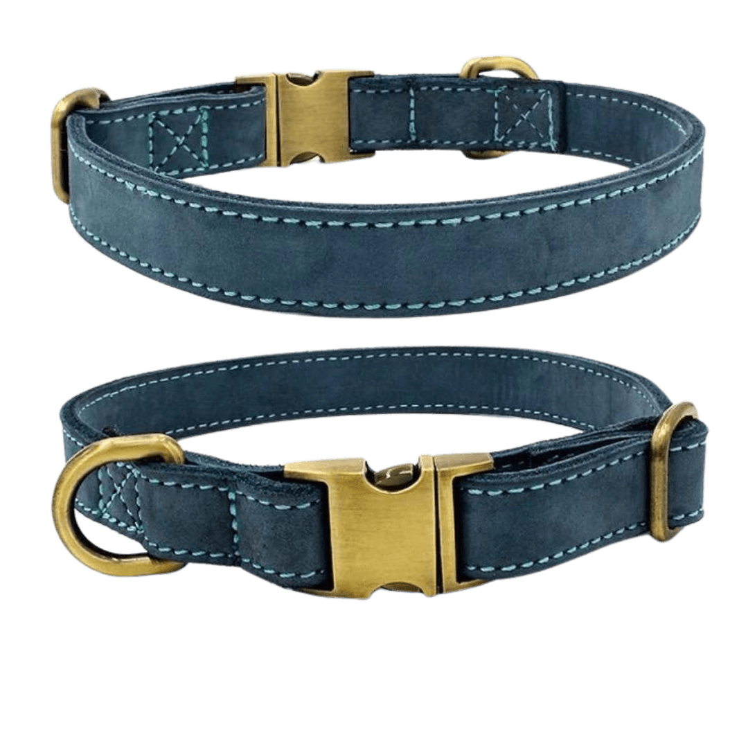 Leela Dog Collar